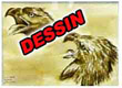 Dessins