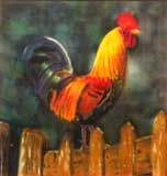 Coq