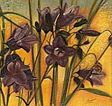 Annie Breissand