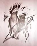 oiseaux